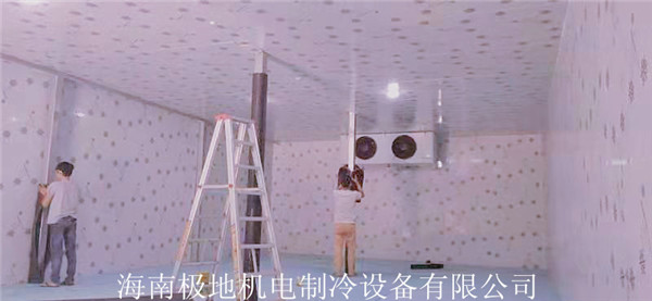 極地水果冷庫案例