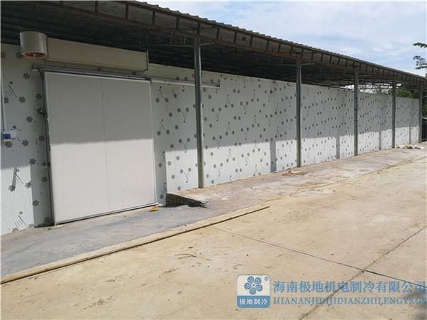 冷庫(kù)速凍冷庫(kù)案例